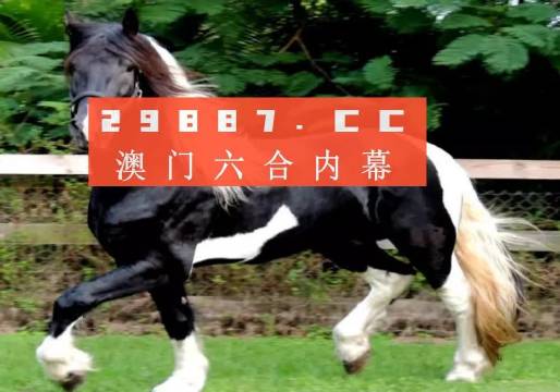 澳门与香港答家婆一肖一码一中一特|全面贯彻解释落实